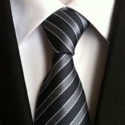 Yritykset Stripe Paisley Tie For Man