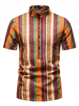 Print Stripe Stand Kaulus Straight Summer Shirt